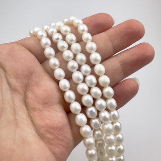 5.5-6.5mm Fresh Water Pearl Rice Graduated 15in Strand