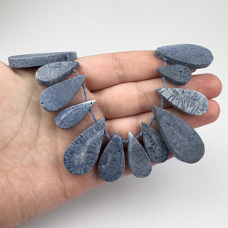 Blue Sponge Coral 10-16x18-36mm Top Drilled Teardrops 15in Strand