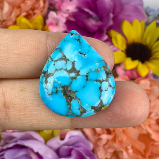 Turquoise 22x26mm Teardrop Cabachon