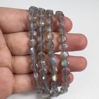 Labradorite 6.5mm Faceted Coin 15.5in Strand