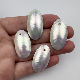 Nautilus Shell 17x30mm Oval Pendant