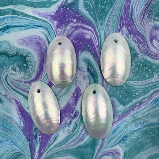 Nautilus Shell 17x30mm Oval Pendant