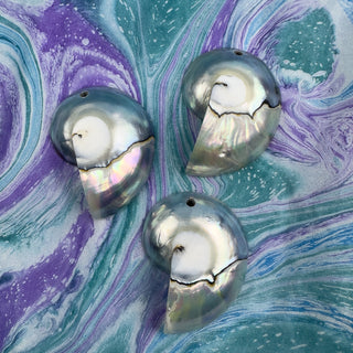 Nautilus Shell 23x32mm Blue/Gray Pendant