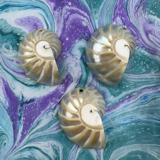Nautilus Shell 25x33mm Beige Pendant