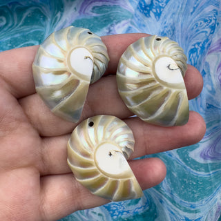 Nautilus Shell 25x33mm Beige Pendant