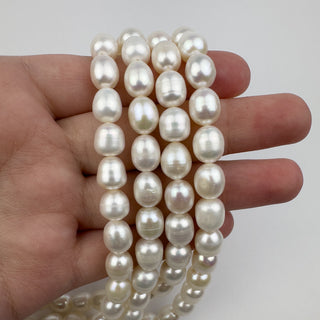 Freshwater Pearl 8x9mm Rice Bead 15in Strand