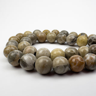 Fossil Coral Stone 10mm Large Hole Round 7.5in Strand