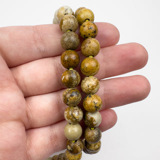 Picture Jasper 8.5mm Large Hole Round 8in Strand