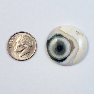 Ocean Jasper AAA Cabochon, 25x25mm, next to a dime for scale.