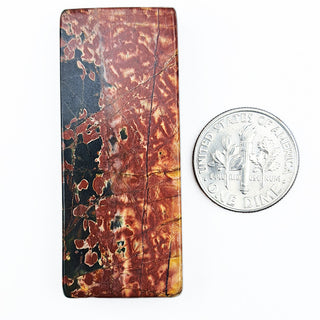 Red Creek Jasper rectangular pendant with dime.