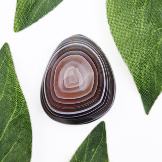 Botswana Agate pendant with leaves.