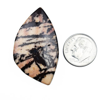 Outback Jasper Pendant with dime.