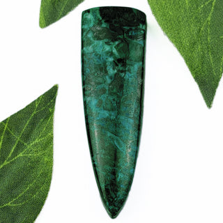 Parrot Wing Chrysocolla pendant with leaves.