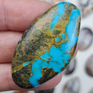 Turquoise 24x43.5mm Freeform Cabochon on a persons fingers